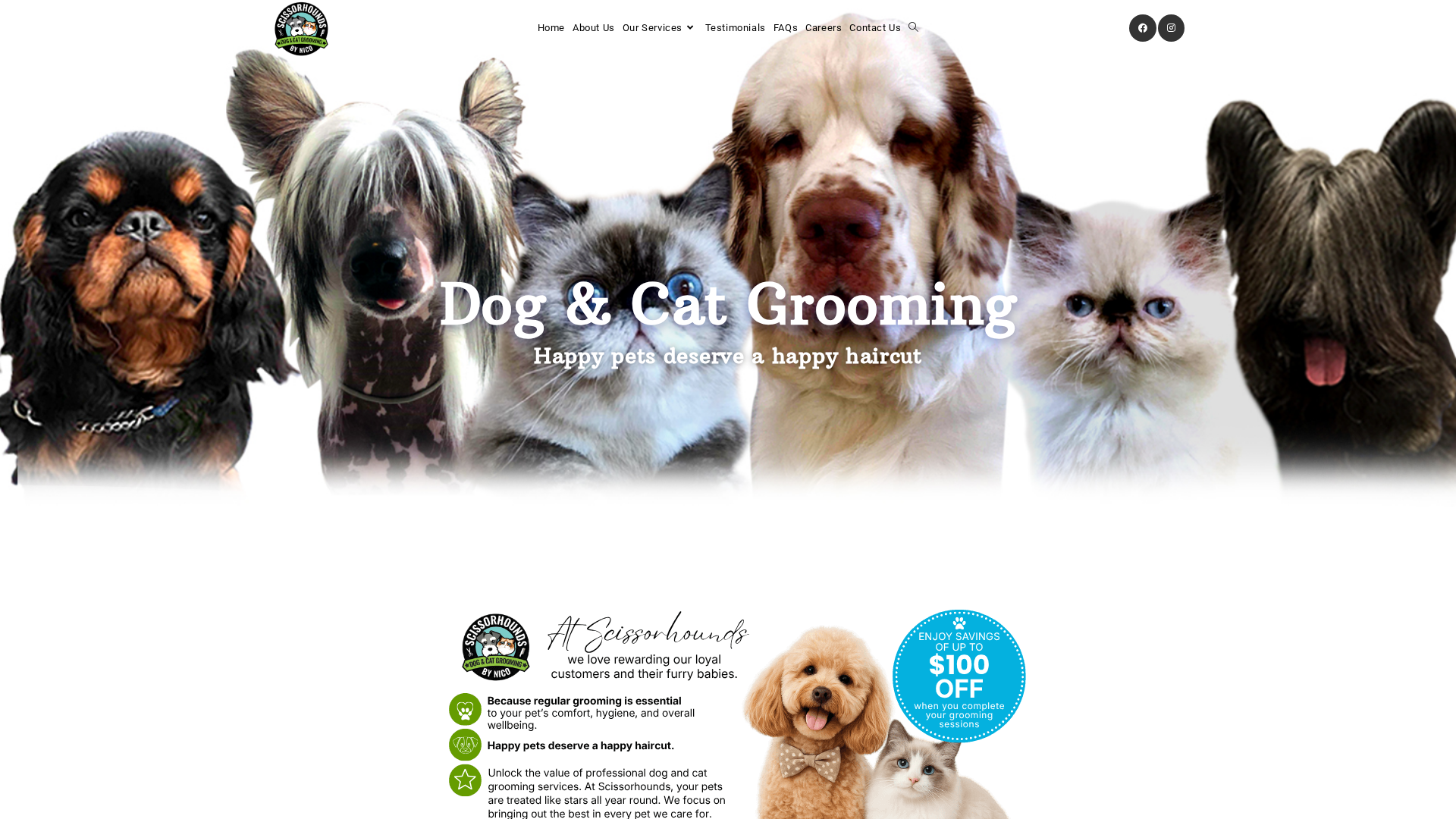 Website snapshot for Scissorhounds