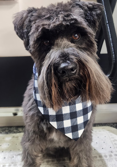 Megipaws Dog Grooming