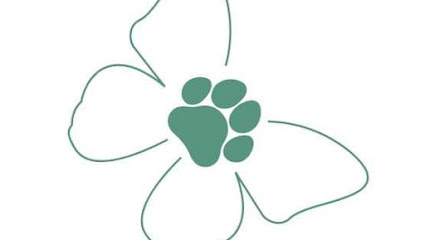 Green Butterfly Dog Grooming