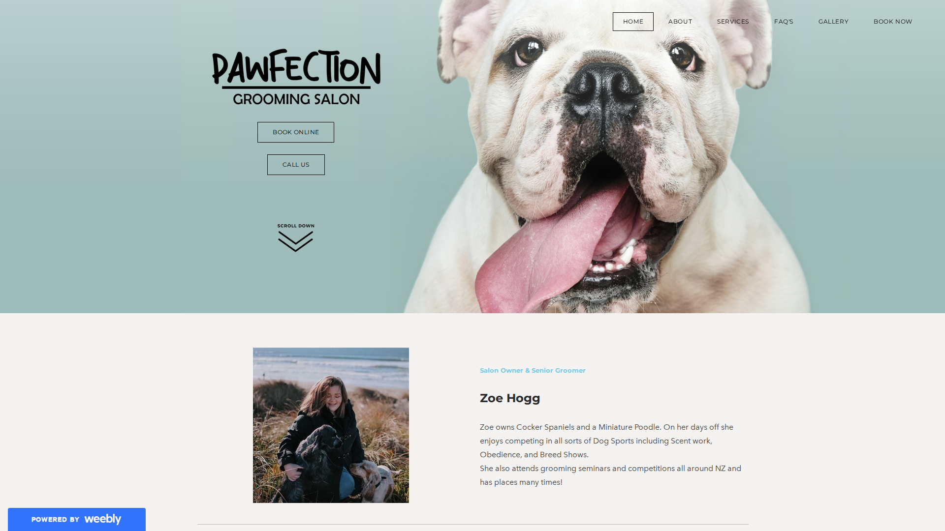 Website snapshot for Pawfection Grooming Salon