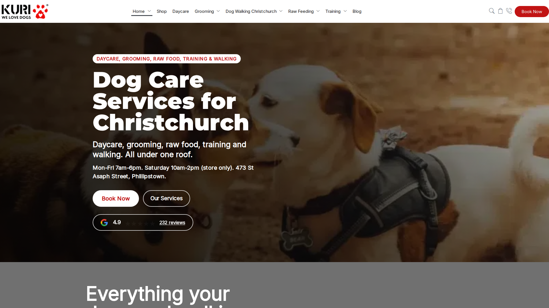Website snapshot for Kuri City Doggy Daycare and Raw Food
