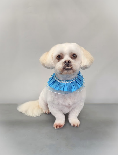 Lindas Dog Grooming