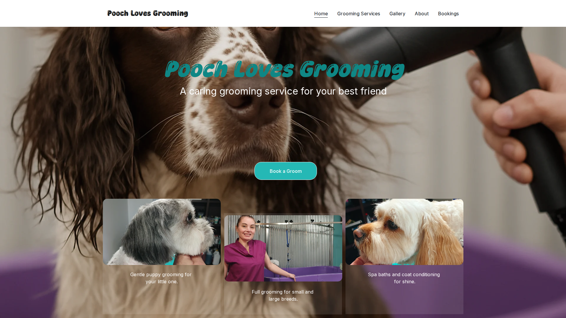 Website snapshot for Pooch Loves Grooming