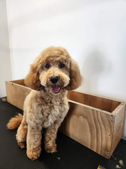 Chique Pups Grooming Salon