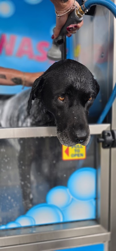 K9000 Dogwash