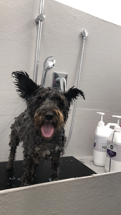 Furnesse Dog Grooming
