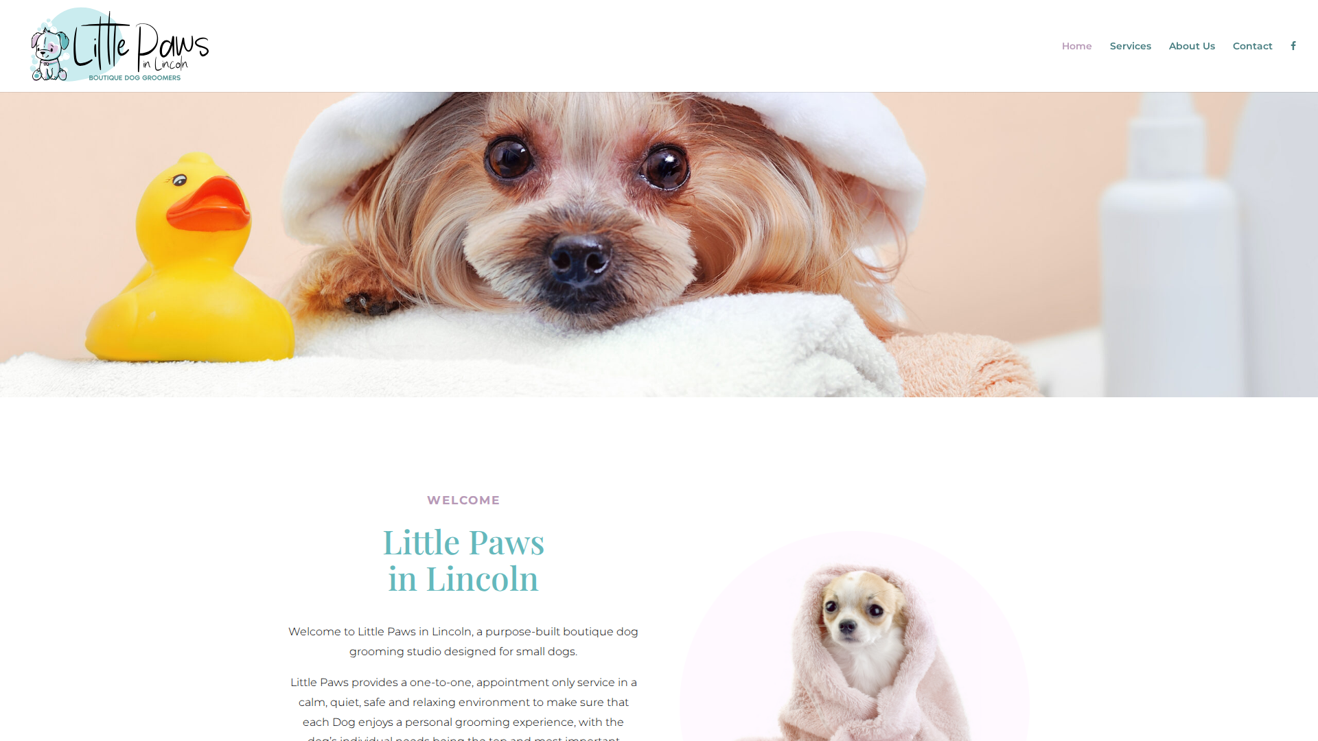 Website snapshot for Little Paws
