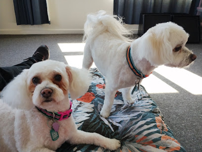 Di's K9 Grooming