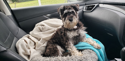 The Painted Paw Dog Grooming