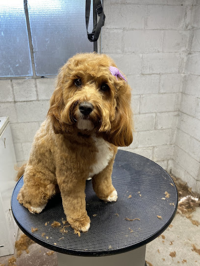 Jo The Groomer