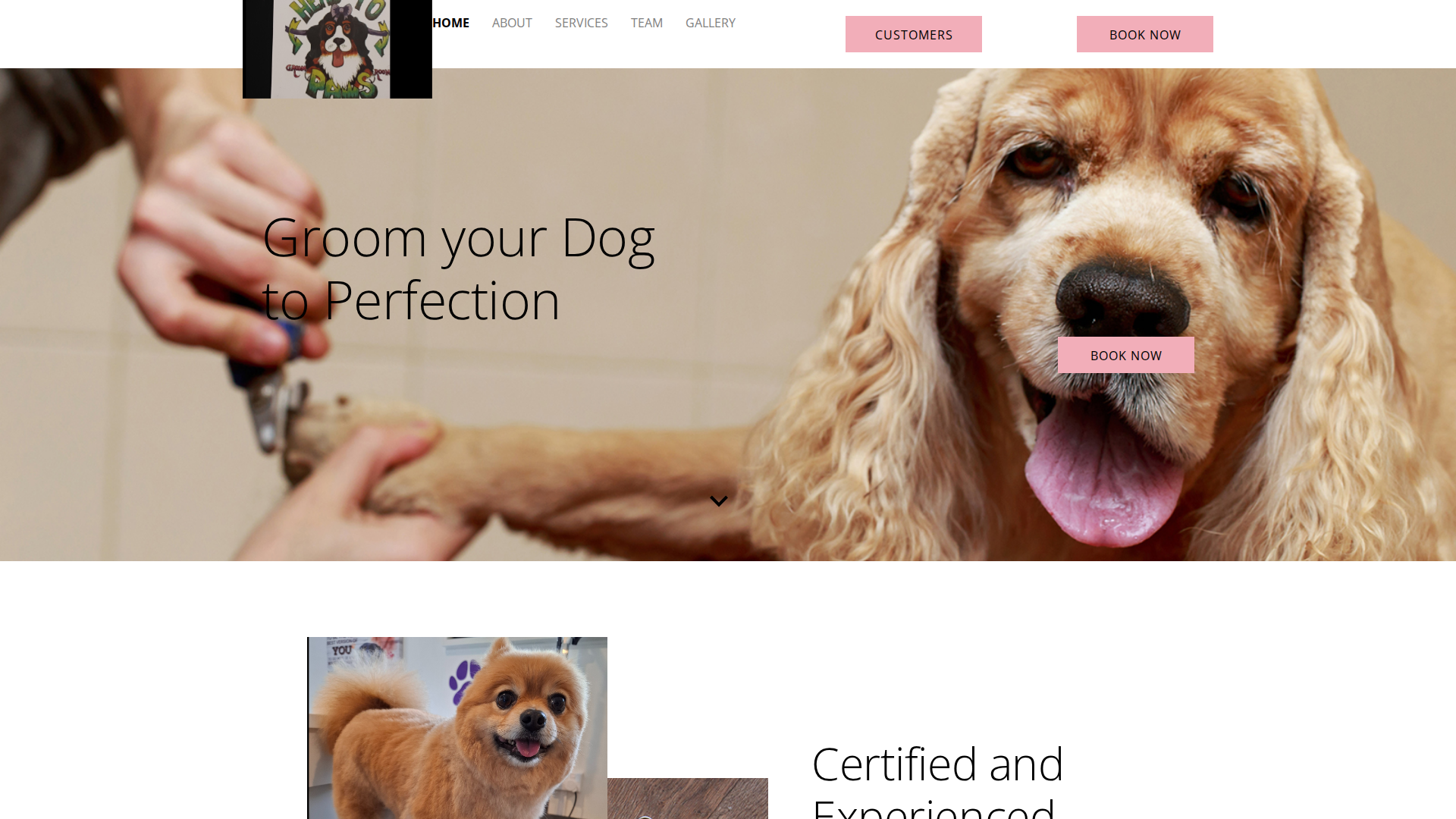 Website snapshot for Head to Paws Groom Room