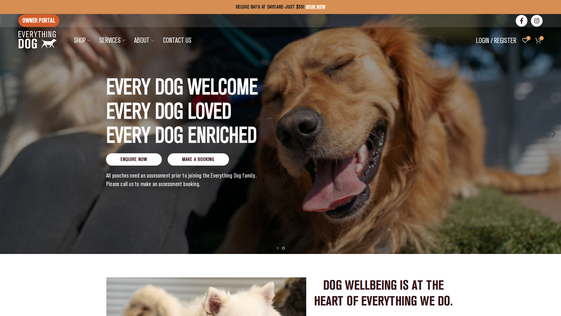 Website snapshot for Everything Dog