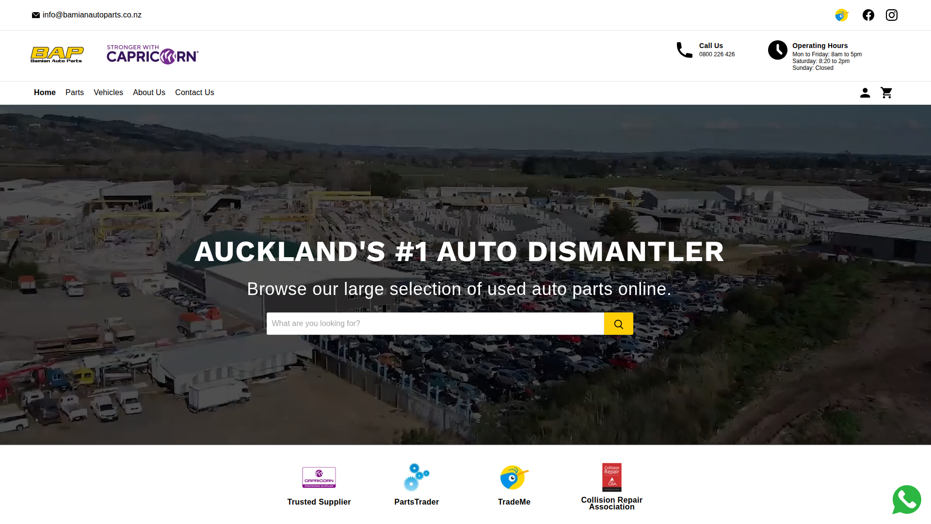 Website snapshot for Bamian Auto Parts