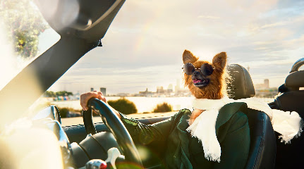 Go Car Finance