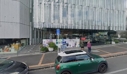Pioneer Finance