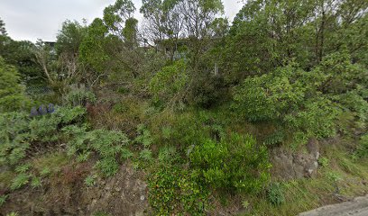 Cater To Your Beauty